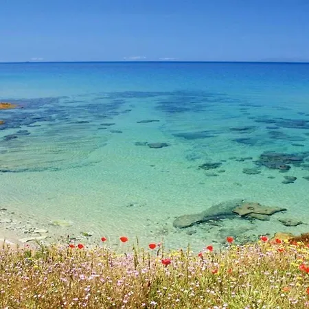 Apartament - La Dolce - Where Dreams True Valledoria (Sardinia)